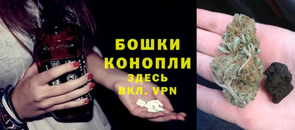 гидра Вязьма