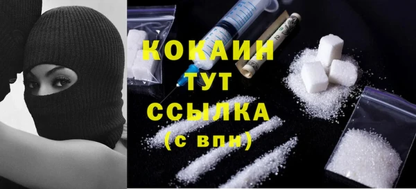 гидра Вязьма