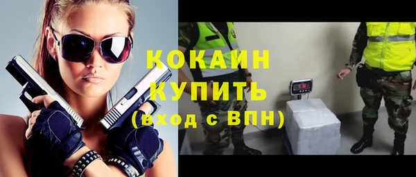 гидра Вязьма