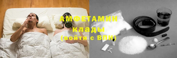 гидра Вязьма