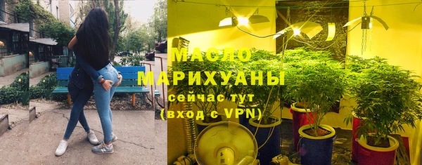 гидра Вязьма