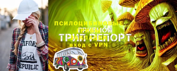 гидра Вязьма