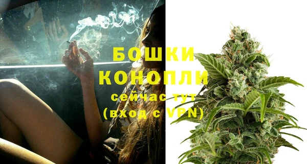 соль ск Вяземский
