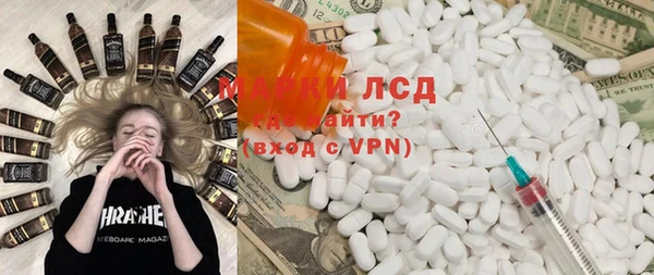 гидра Вязьма