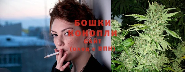 соль ск Вяземский