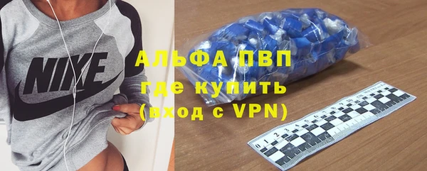 гидра Вязьма