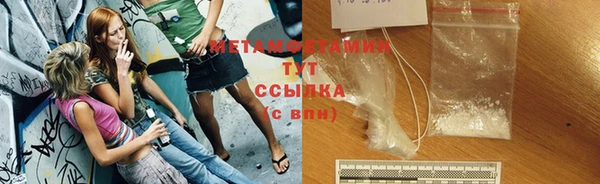 гидра Вязьма