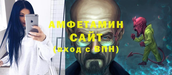 гидра Вязьма